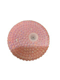Sparkle cup lid
