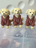 Labrador dog