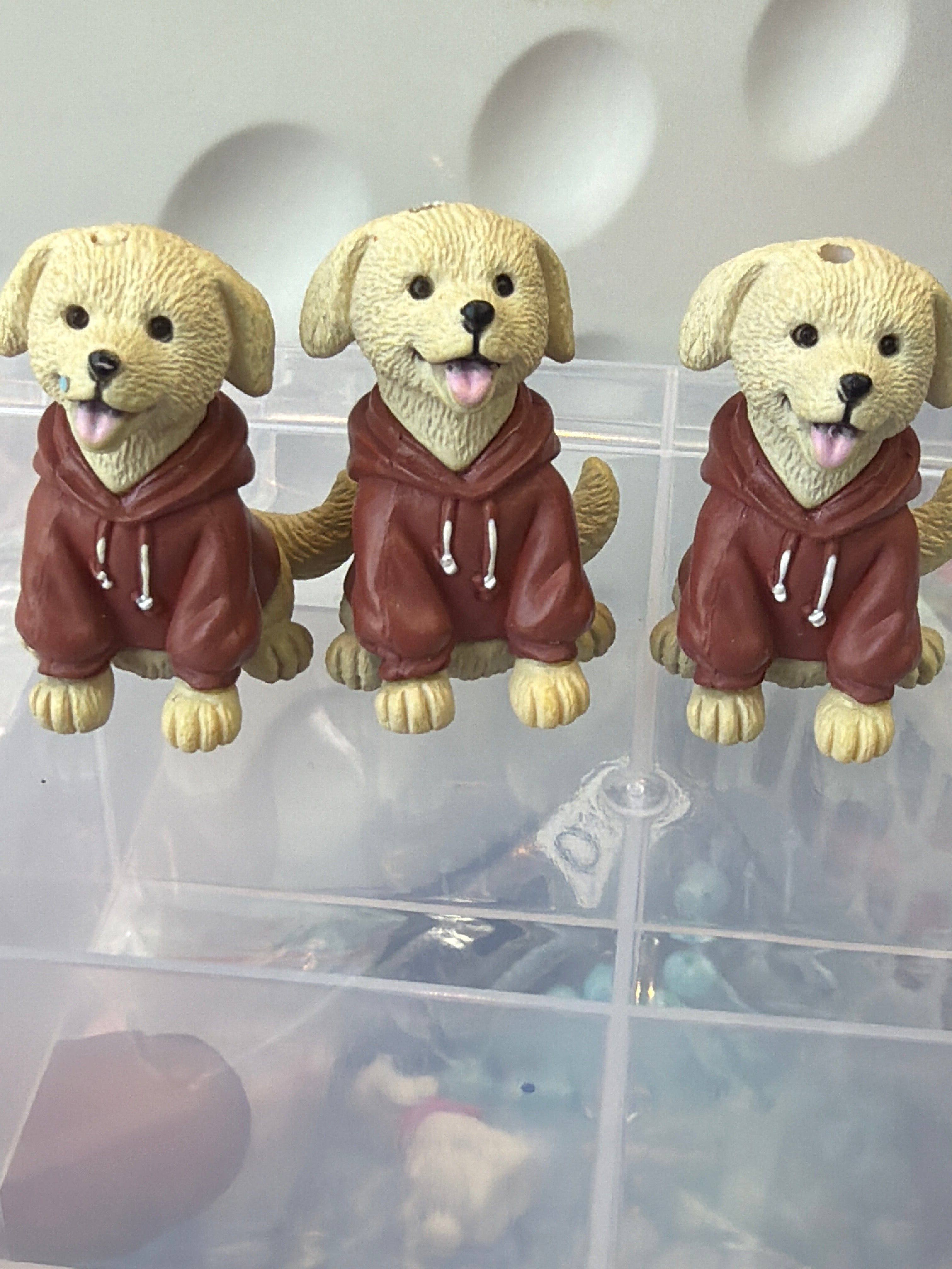 Labrador dog
