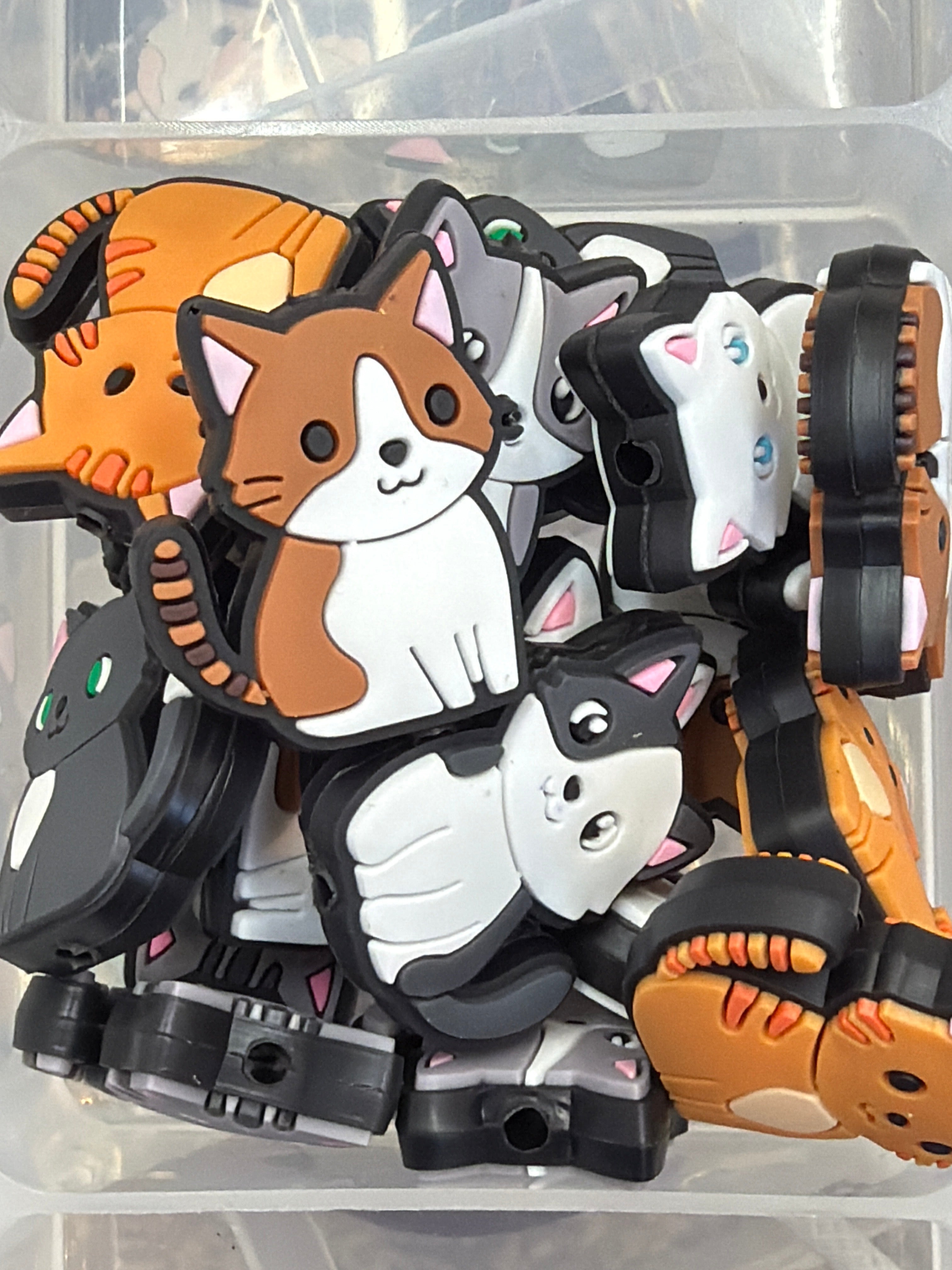 Cat focal