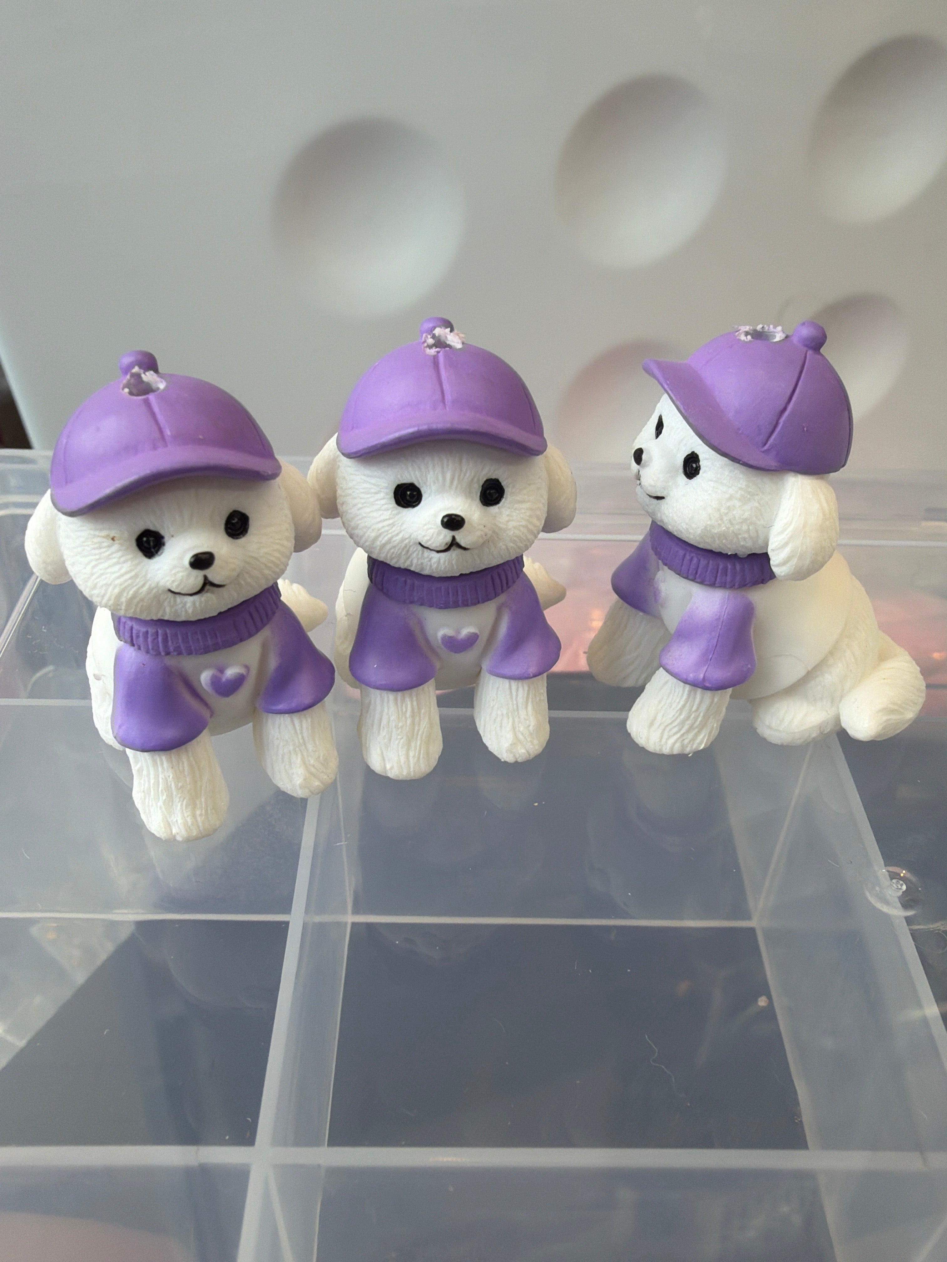 Dog with purple hat
